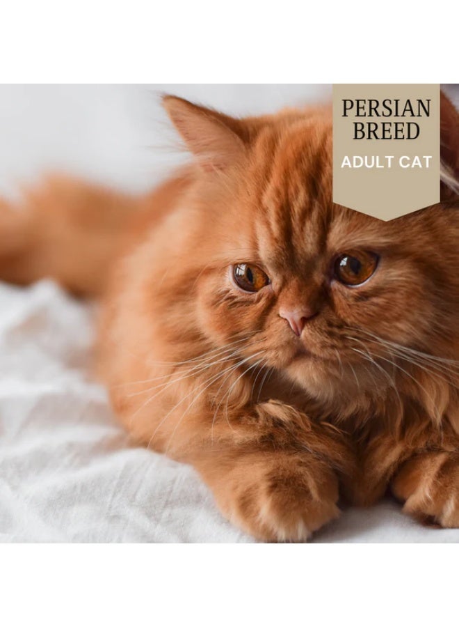 واجز دراي فوود للقطط الشيرازي البالغة 2 كيلو - Image 2